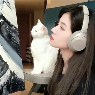 寂静的房子